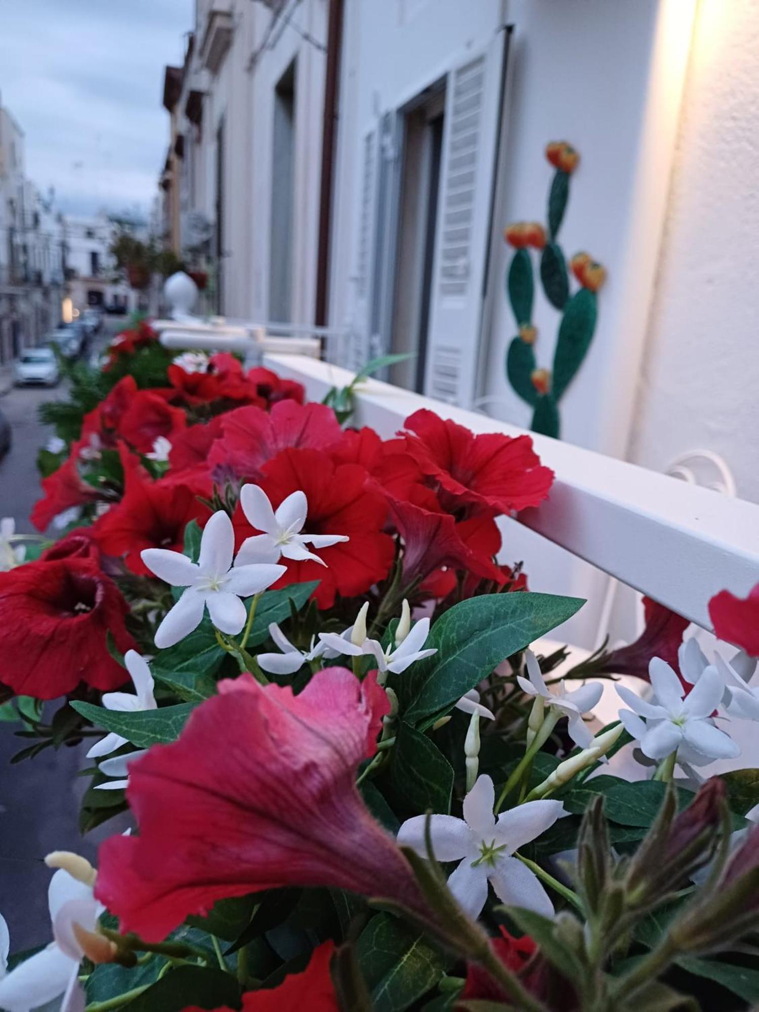 Casa Lina Lägenhet Mola di Bari Exteriör bild